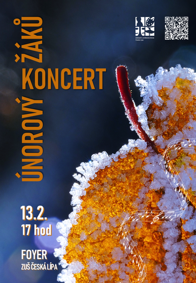 ZUŠ Česká Lípa - Únorový koncert žáků