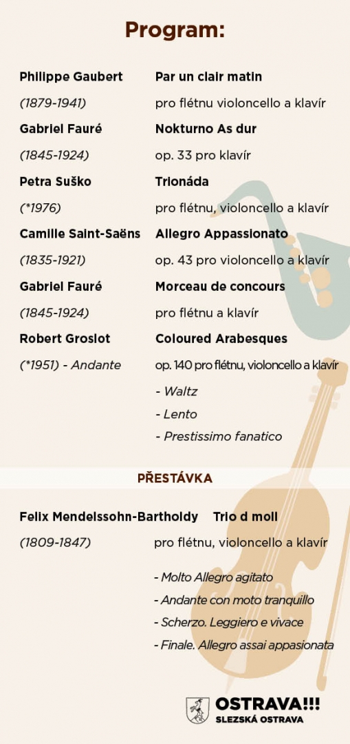 Slezskoostravská radnice