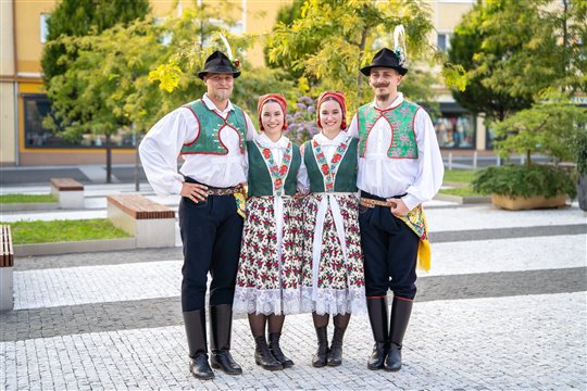 stárci 2025