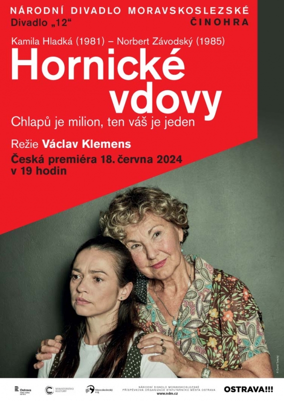 Hornické vdovy