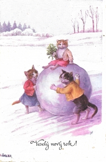 Slezskoostravský hrad