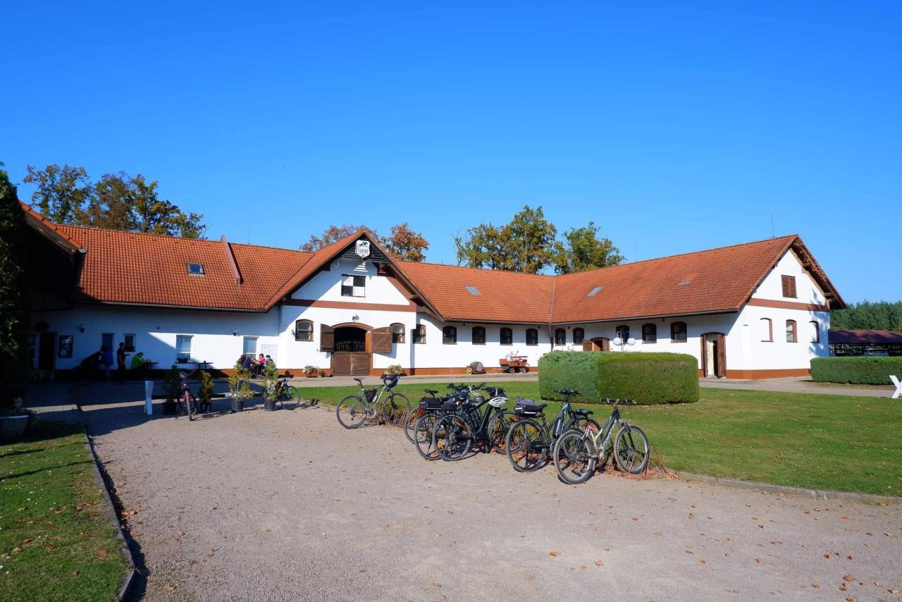 plakát