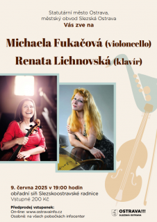Slezskoostravská radnice